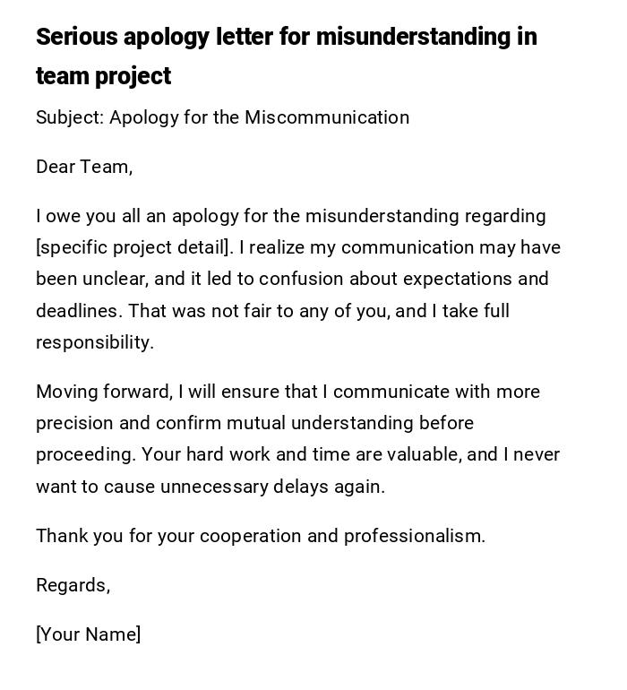Serious apology letter for misunderstanding in team project