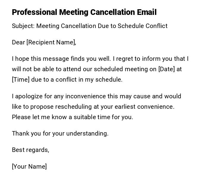 Professional Meeting Cancellation Email